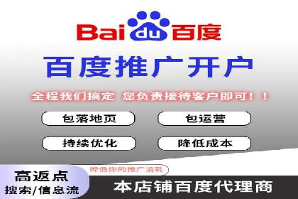 百度推广服务费案例：打造爆款产品营销策略
